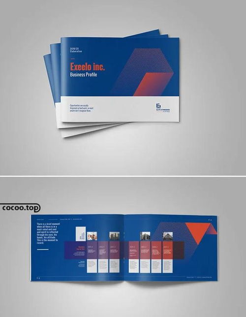 視覺說服 企業(yè)宣傳冊(cè)設(shè)計(jì)與市場(chǎng)營(yíng)銷策劃的協(xié)同效應(yīng)